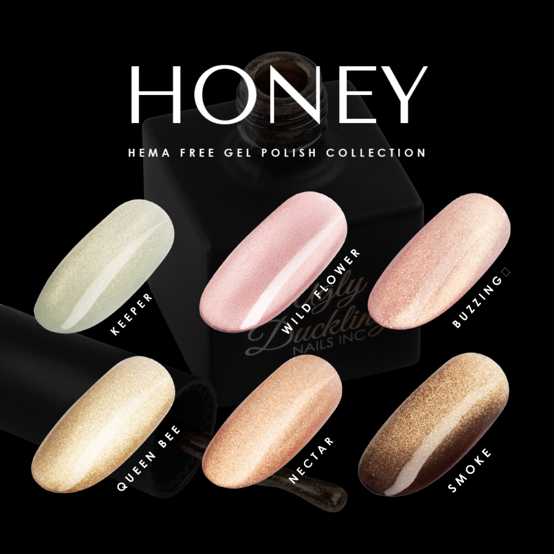 'HONEY' CAT EYE - 6pk EXCLUSIVE COLLECTION